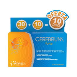 Cerebrum Forte Amp Beb X30+Of Amp X10